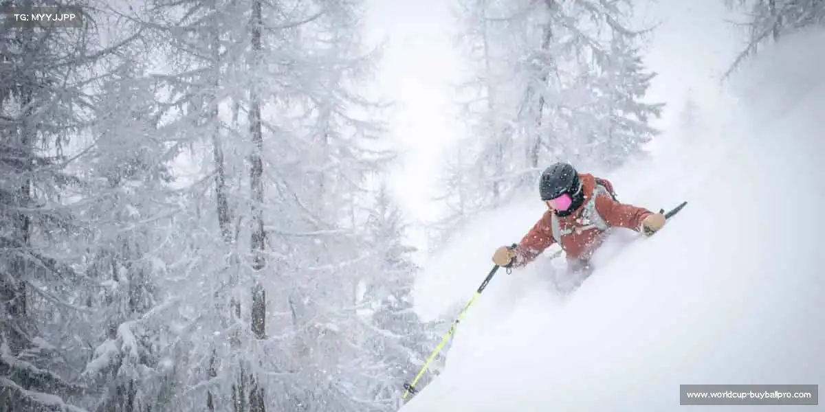 行业领先的理由